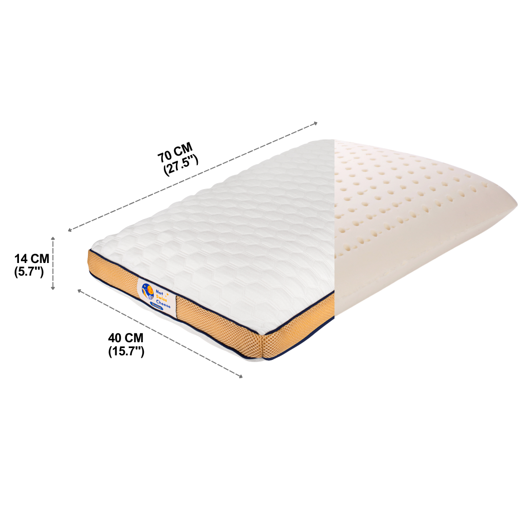 Dunlop Medium Firm Queen Size Latex Foam Pillow